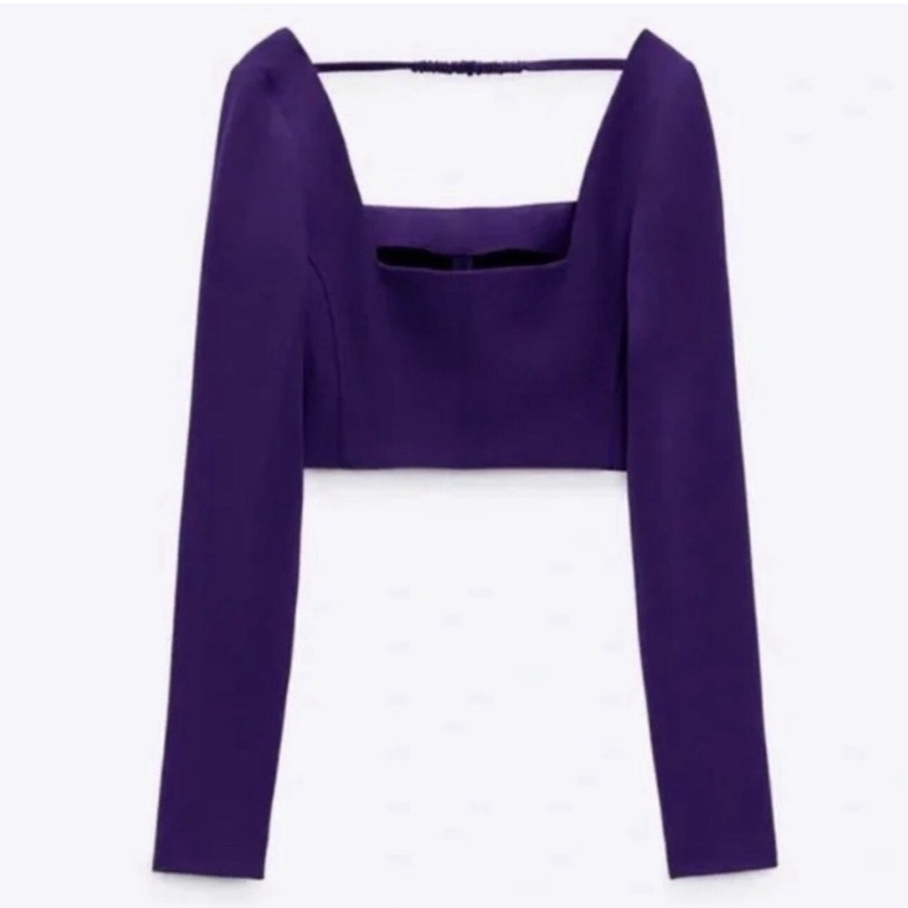 Zara Purple Long Sleeve Crop Top